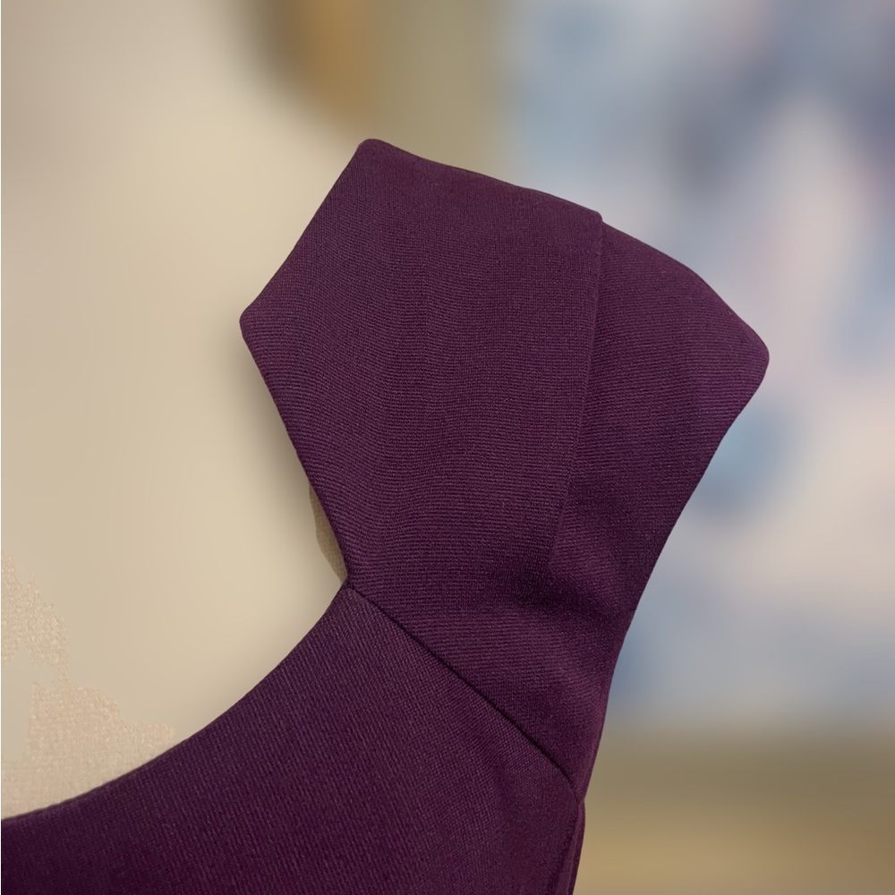 Calvin Klein Deep Plum Colored Dress w/Sweetheart Neck & Ruched Fabric (Size: 4) - Picture 4 of 10